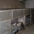 CHILLER с воздушным охлаждением конденсатора Climaveneta WRAT/B 0501-1422 - 1202, фото 1